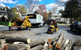  West Pensacola, FL Tree Removal Pros